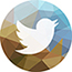 Twitter icon